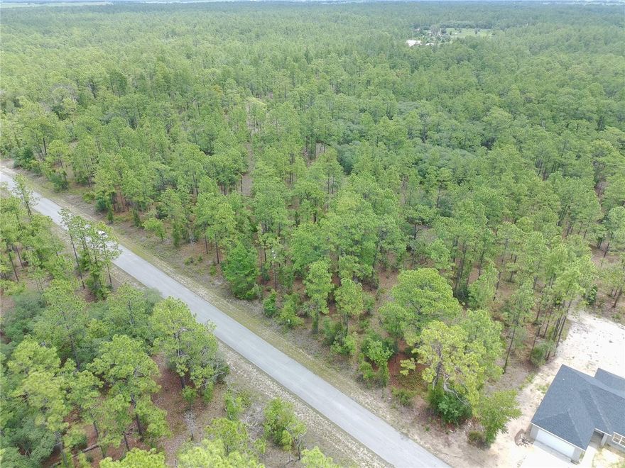 0.29-acre residential lot offering a peaceful natural setting with paved road frontage and nearby homes. Surrounded by mature trees and privacy, this property presents a great opportunity for future investors, builders, or buyers looking to build their dream home in a quiet Florida setting. Conveniently located within reach of local amenities while still offering space, privacy, and natural surroundings.