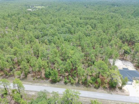 Tiny photo for SW Buena Vista Road, Dunnellon, FL 34431 (MLS # S5151074)