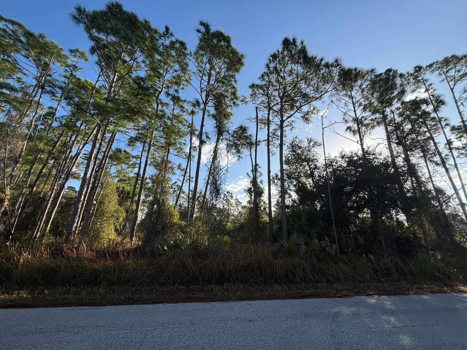 PORT CHARLOTTE SUB 24 - Land