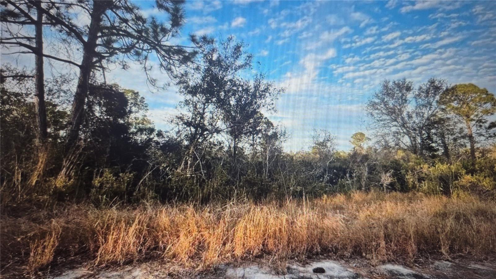 This prime vacant lot offers 0.23 acres of opportunity, ideally located near electricity and ready for your next project! Situated in the charming town of Lake Placid, FL, this parcel is the perfect canvas for your dream home, vacation retreat, or investment property. No HOA—modular and container homes are accepted. Enjoy a peaceful lifestyle surrounded by nature, local shops, and beautiful parks while still being close to major conveniences. Pristine Gulf and Atlantic beaches are within easy reach, and Orlando and Tampa International Airports are about 90 minutes away. Priced low to sell fast, this lot can be built on now or held long term for a future profit return. Don’t miss out on this affordable opportunity in one of Florida’s hidden gems!