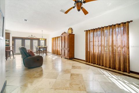 A home in FLAGLER BEACH