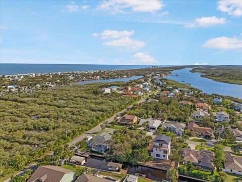 A home in FLAGLER BEACH