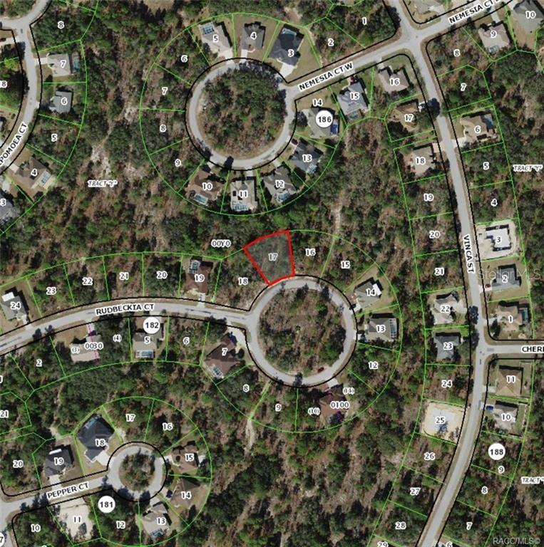Beautiful 70 x 120 lot on cul sac street with Northern rear exposure. Great lot to build your dream home. Convenient to Oak Village Complex with tennis, pickleball, pool and gym. Membership is optional in the Sugarmill Woods Country Club that can include combinations of golf, tennis, pickleball, a Jr. Olympic sized pool, a small gym including the social membership for dining in the restaurant. Convenient to the Suncoast Parkway taking you to the Tampa International Airport within an hour. Adjacent lot 19 Rudbeckia Court is also available for sale.