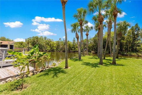 Tiny photo for 3817 N Calusa Point, Crystal River, FL 34428 (MLS # OM704057)
