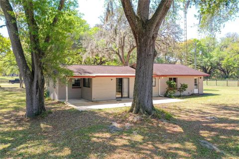 Tiny photo for 975 SE 170th Street, Summerfield, FL 34491 (MLS # G5109667)