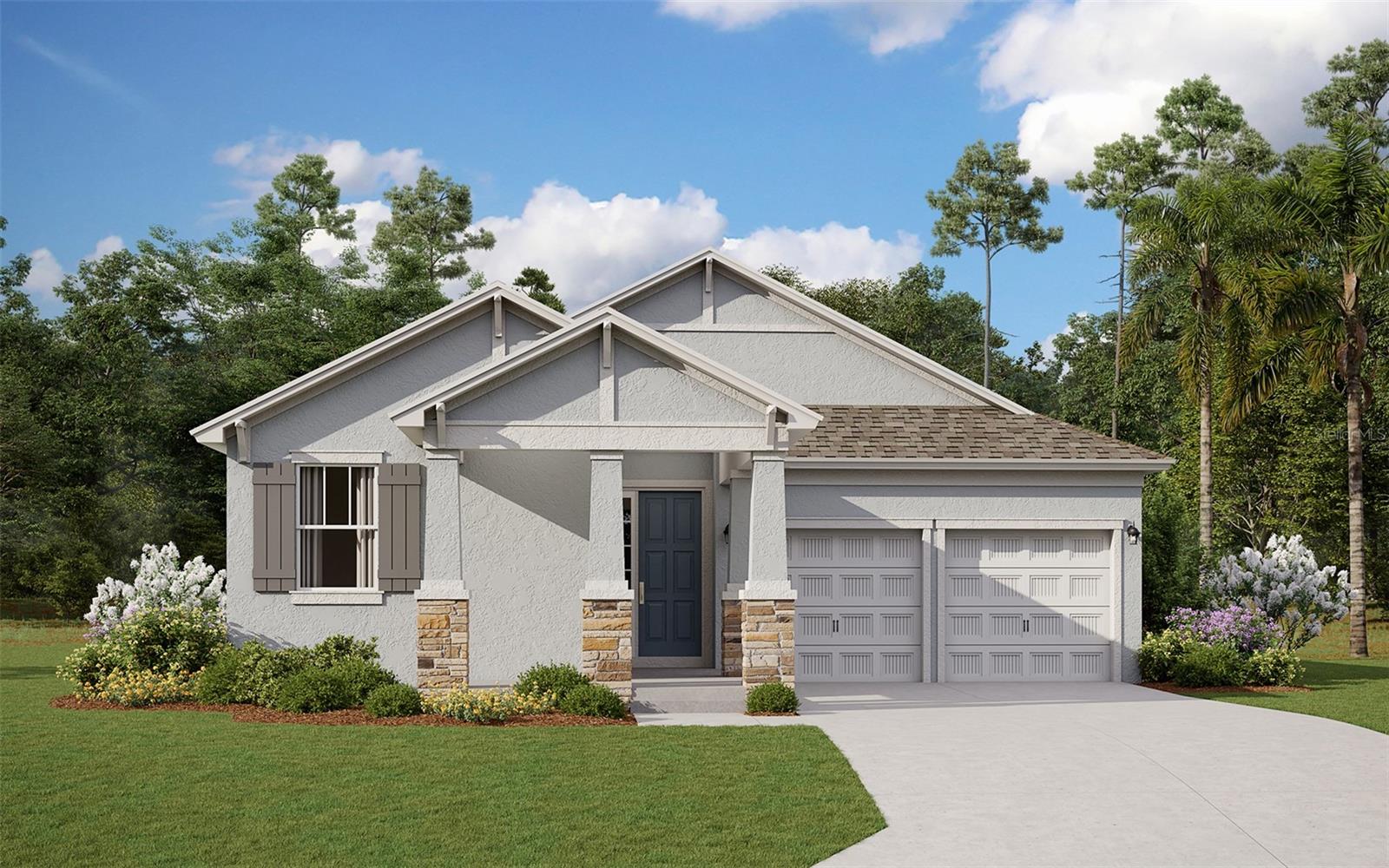 HAMLIN MEADOWS AT HAMLIN - Residential
