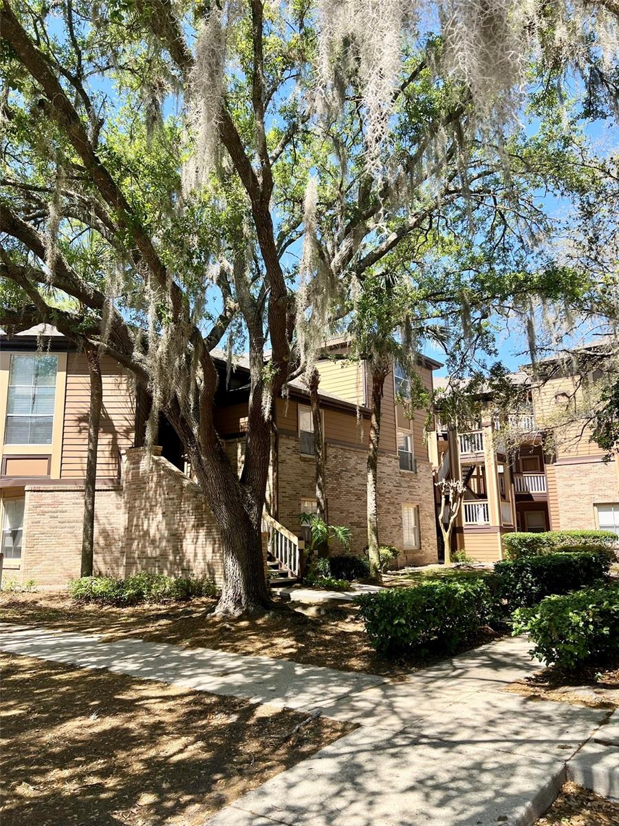 486 N PIN OAK PLACE 202