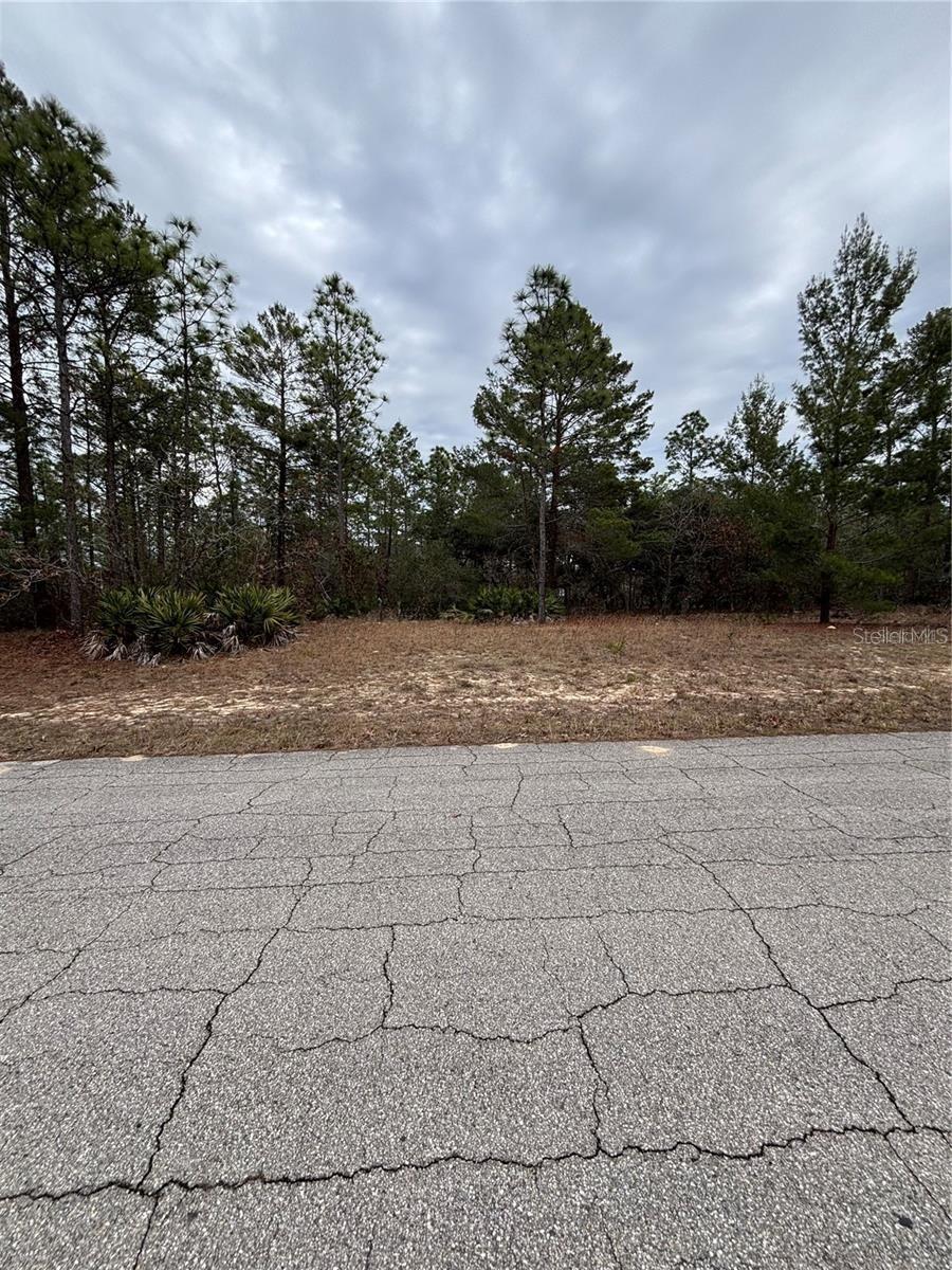 4156 W HORSESHOE DRIVE