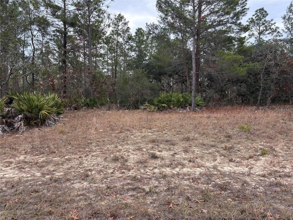 Photo of 4156 W Horseshoe Drive, Beverly Hills, FL 34465 (MLS # O6391561)