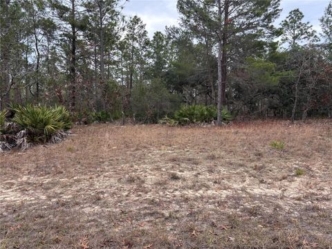 4156 W HORSESHOE DRIVE BEVERLY HILLS FL 34465