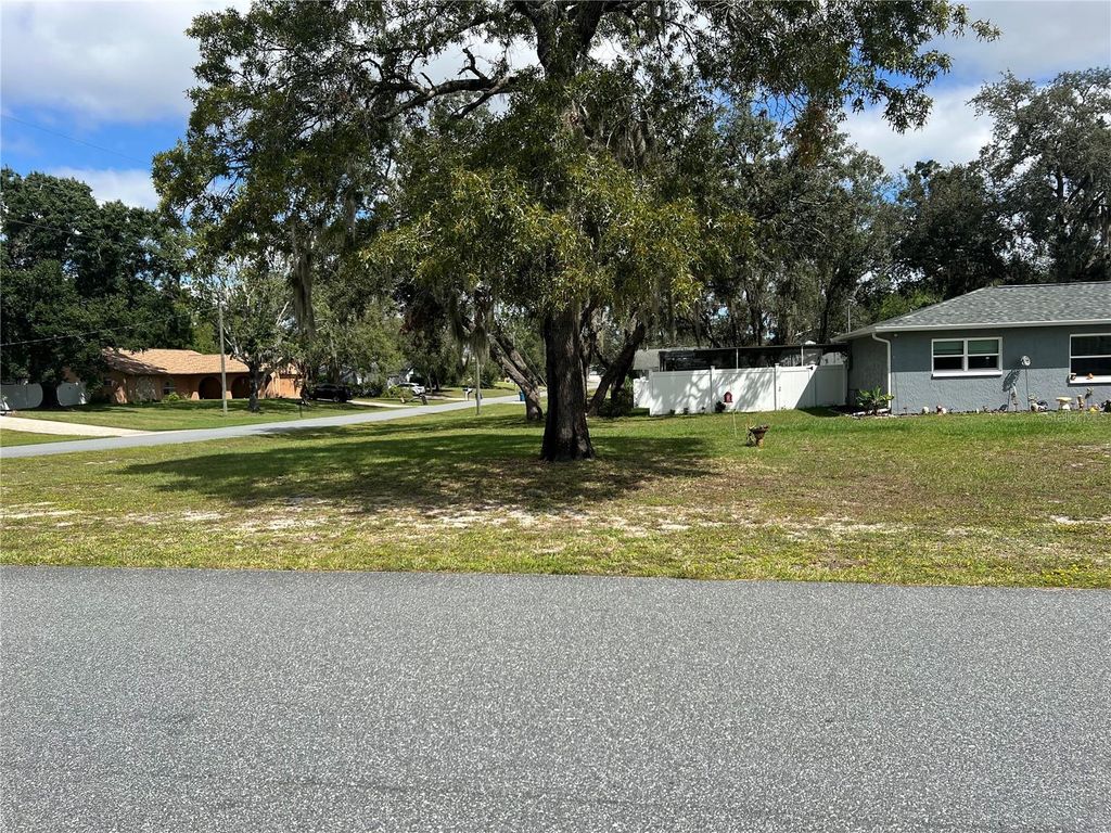Photo of 11375 Corrigan Street, Spring Hill, FL 34609 (MLS # TB8433117)