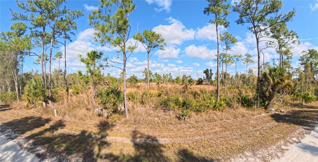 Photo of 12196 Caravan Drive, Punta Gorda, FL 33955 (MLS # C7520834)