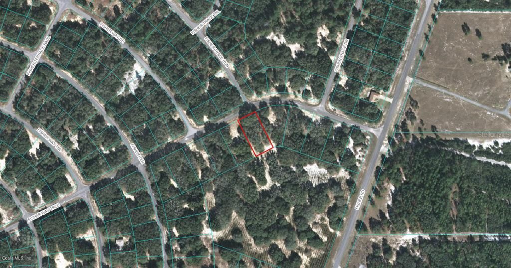 Photo of 00 Fisher Way Trace, Ocklawaha, FL 32179 (MLS # OM522974)