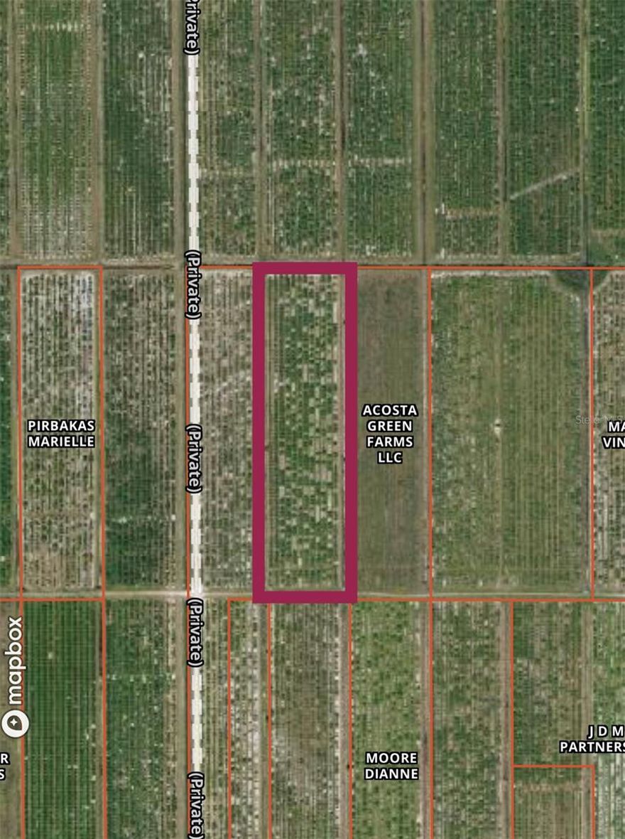 This 10-acre Velencia orange grove is now available for all your agricultural needs. This property is zoned A-10, according to DeSoto County's LDS's this land track has multiple uses. Please contact DeSoto County planning and zoning for any and all land use questions. Owner financing is available.