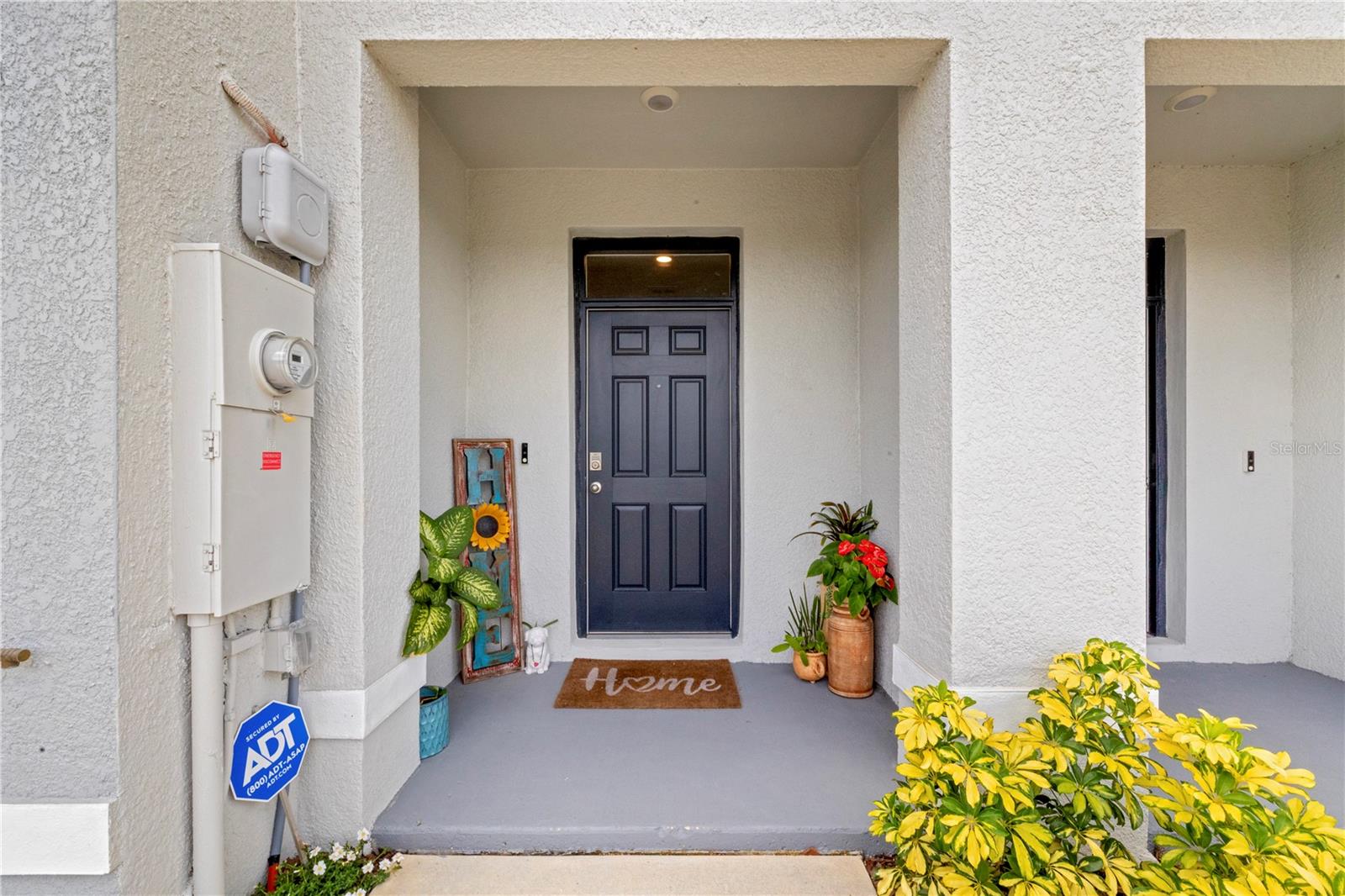 31338 ANCIENT SAGE ROAD