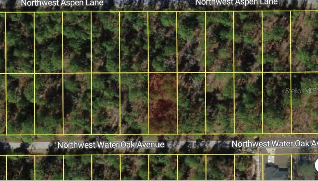 Photo of NW Water Oak Avenue, Dunnellon, FL 34431 (MLS # O6365469)