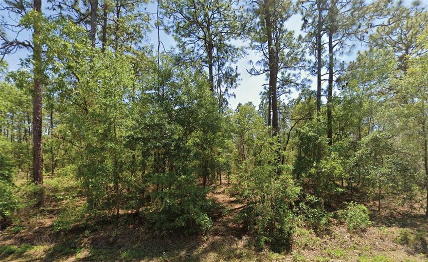 Discover the opportunity to own a 0.24-acre homesite in the peaceful community of Rainbow Lakes Estates. This parcel offers a generous layout, ideal for a future single-family home in a quiet, established neighborhood. No HOA, no flood zone, and easy access to nearby lakes, parks, and outdoor activities. Enjoy the privacy of a rural setting while still being a short drive to shopping, dining, and downtown Dunnellon. Whether you're planning your next build or holding as an investment, this property provides an affordable option in a growing area.
All information is deemed reliable but should be independently verified.
