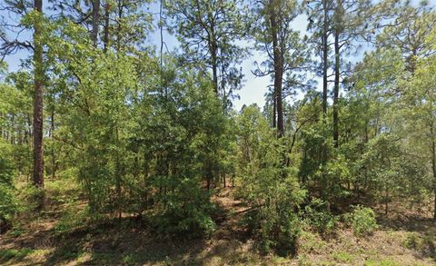 Photo of NW Water Oak Avenue, Dunnellon, FL 34431 (MLS # O6365469)