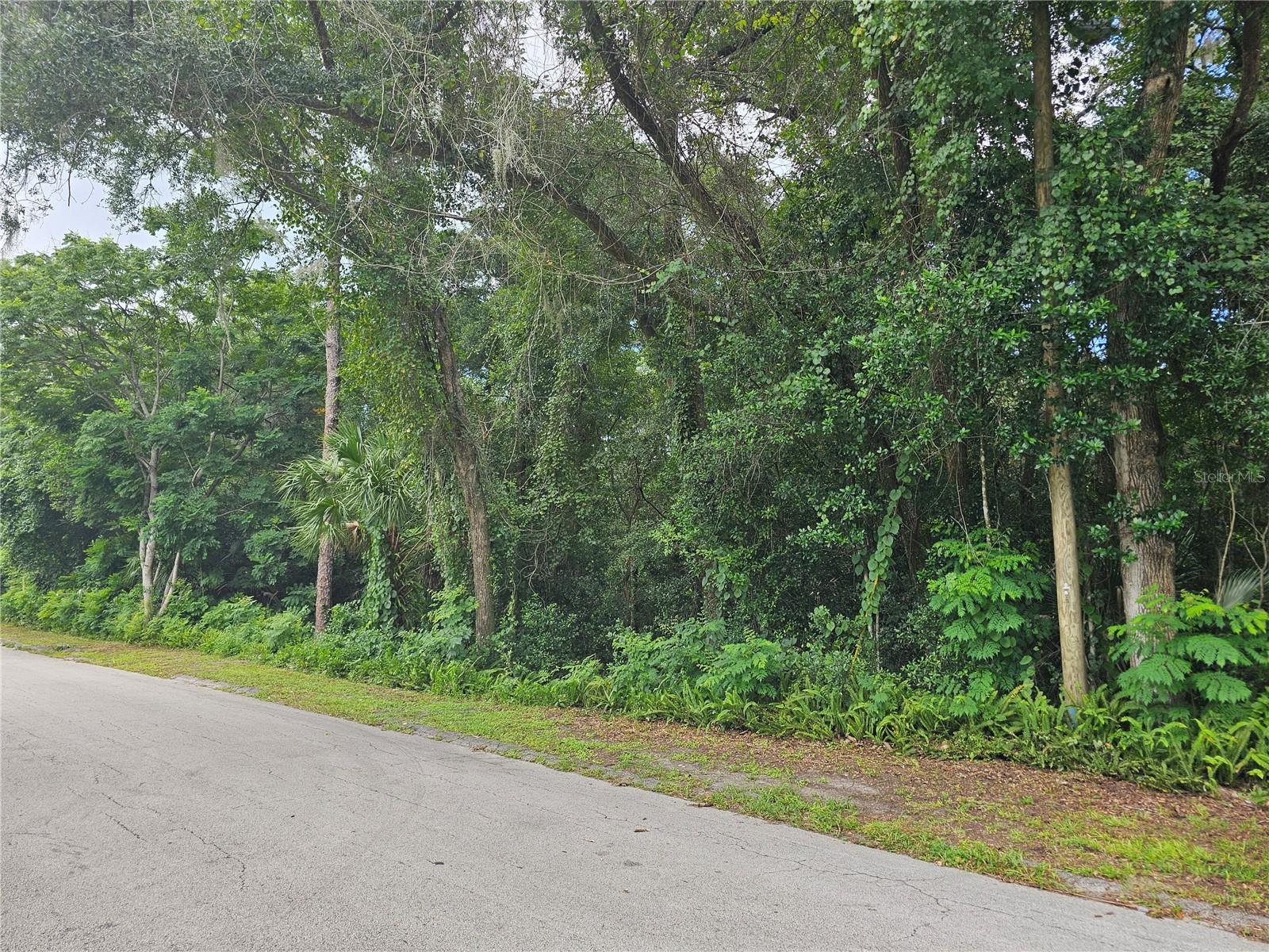 N CARPENTER AVENUE