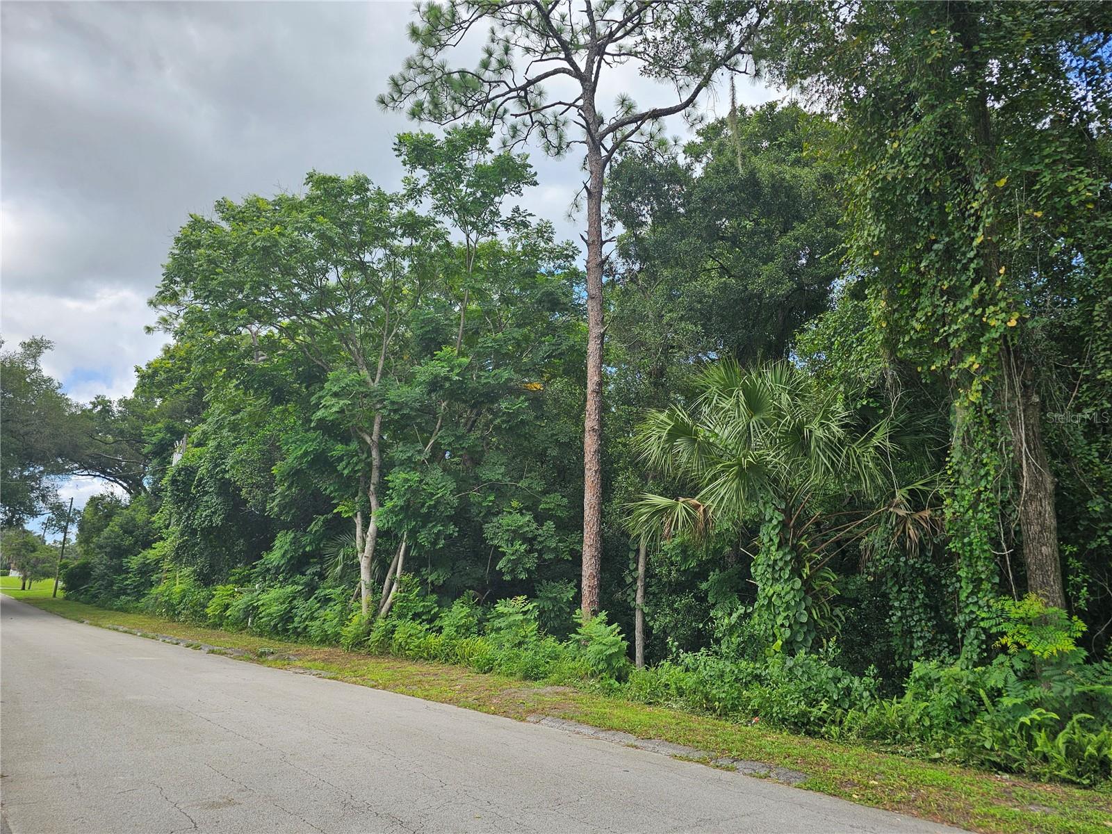 N CARPENTER AVENUE