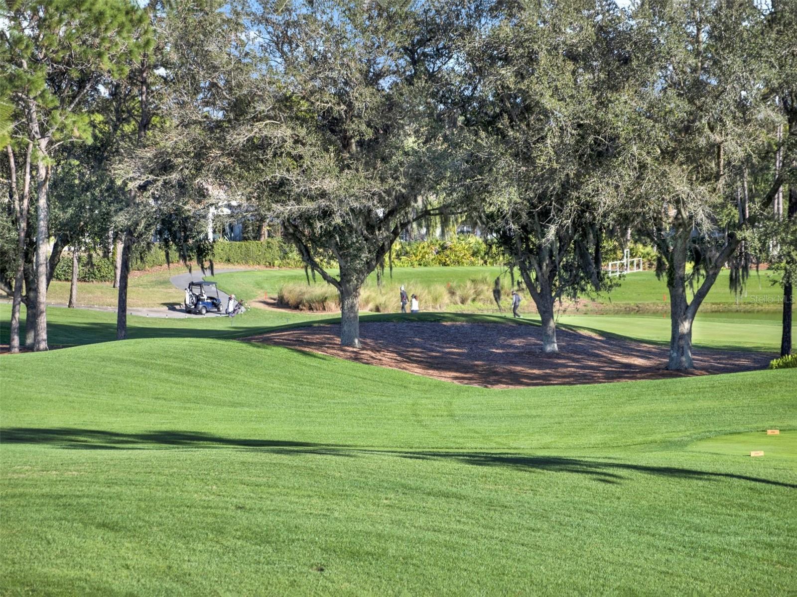 LAKE NONA ESTATES - Residential