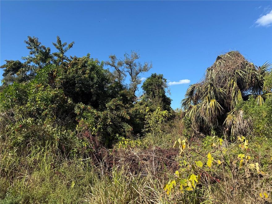 Great location, ideal for building your custom home or holding as an investment. Don’t miss this opportunity to secure land in a growing area. Buyer to perform due diligence.