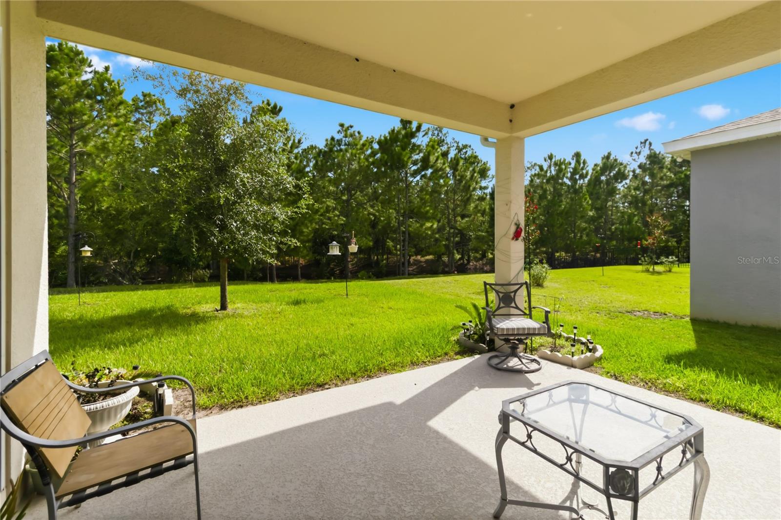 2916 HOODED CRANE COVE