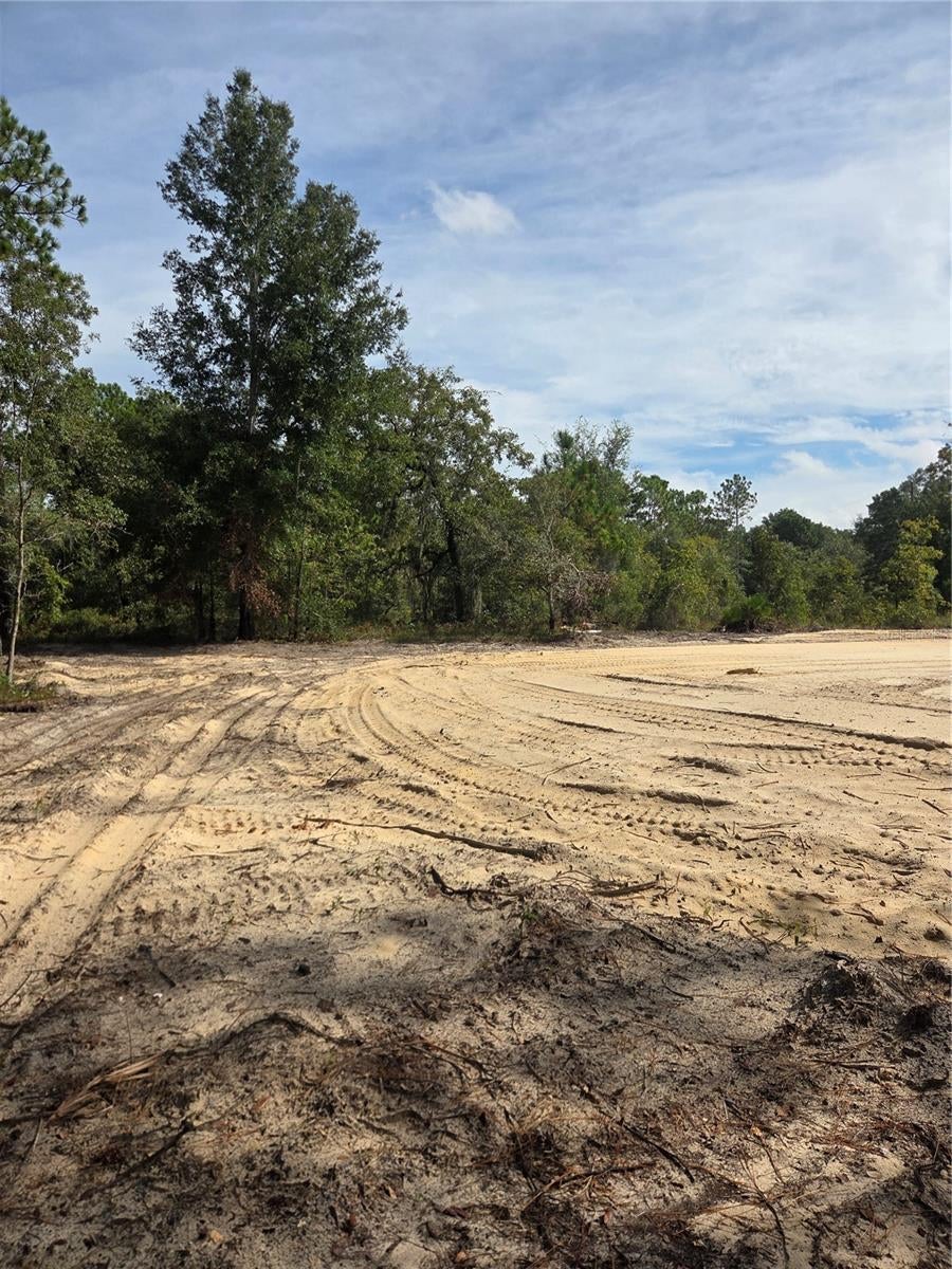16147 SHELDRAKE LOOP