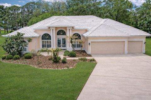 5201 LAUREL POINTE DRIVE VALRICO FL 33594