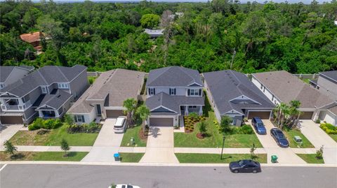 A home in PALM HARBOR