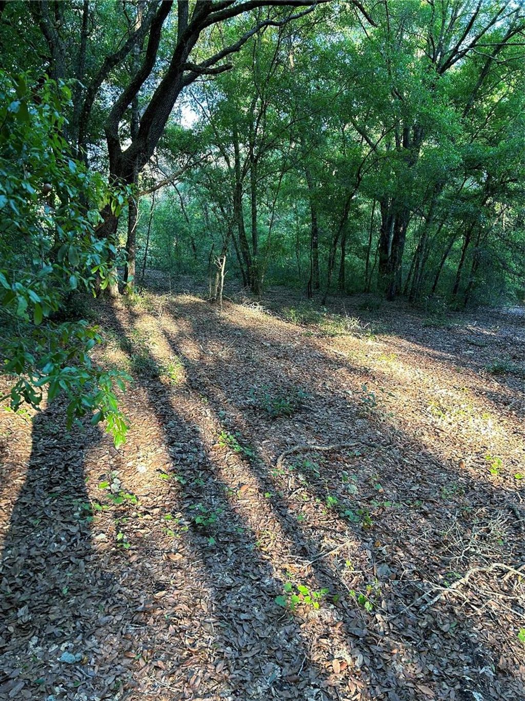 Photo of SW Hwy 484, Dunnellon, FL 34432 (MLS # OM695298)