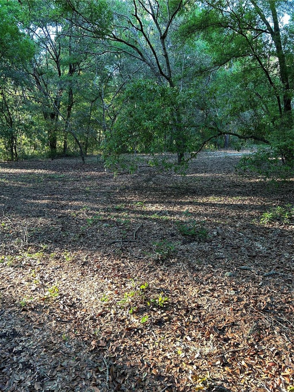 Photo of SW Hwy 484, Dunnellon, FL 34432 (MLS # OM695298)