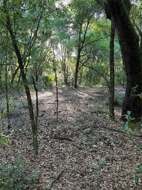 SW HWY 484 DUNNELLON FL 34432