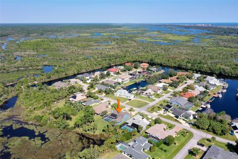 A home in PALM COAST