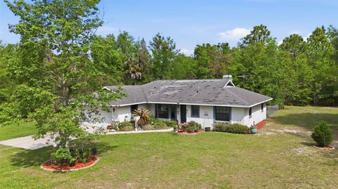 Photo of 3839 W Horace Allen Street, Lecanto, FL 34461 (MLS # OM721692)