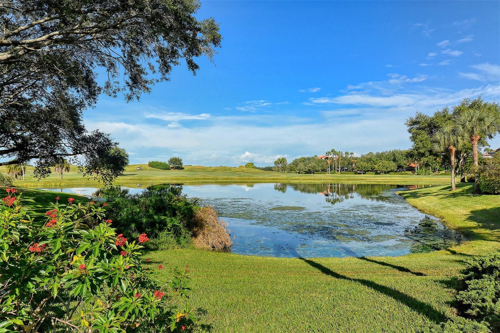 PRESTANCIA/VILLA LAS PALMERAS - Residential