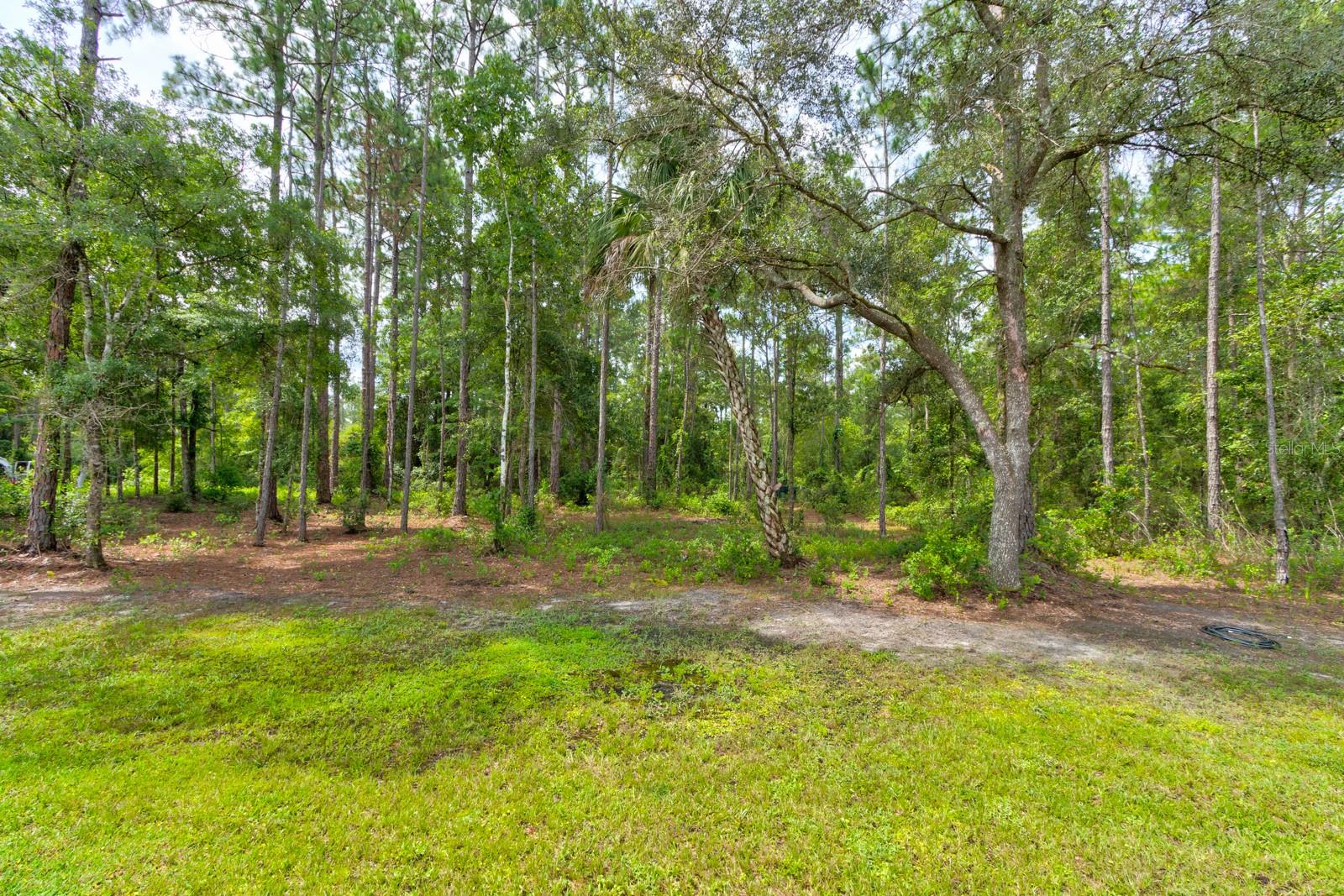 FLAGLER ESTATES - Residential