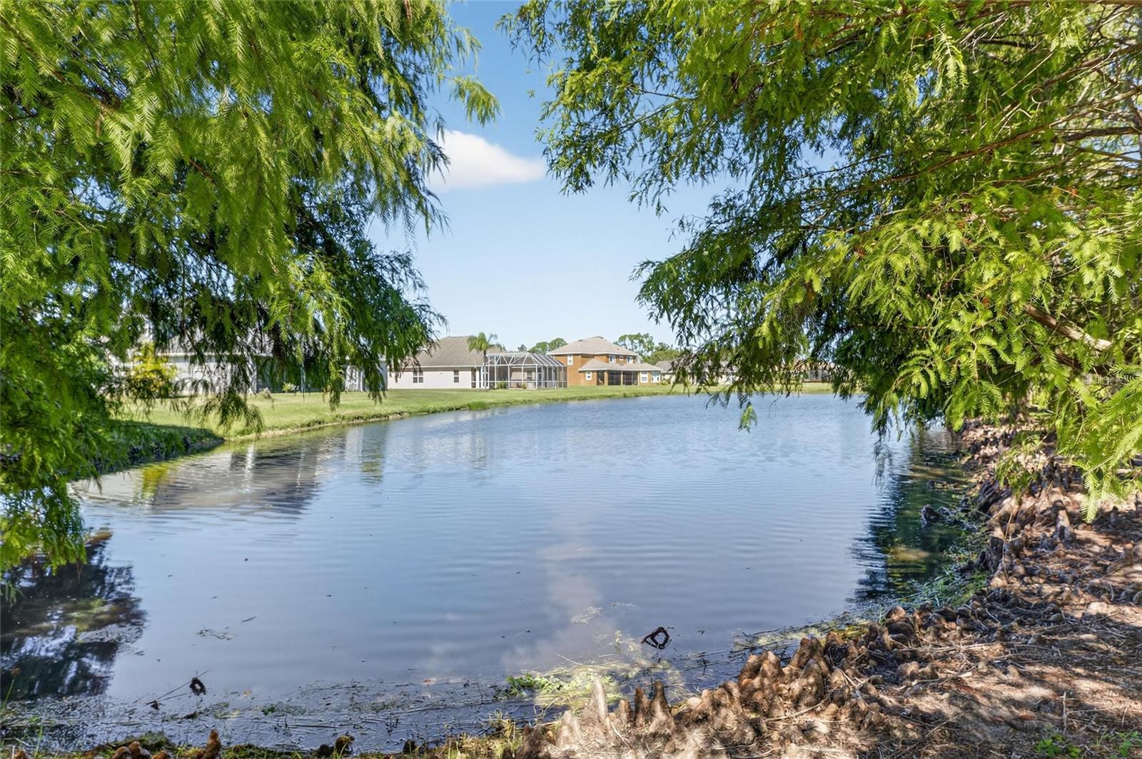 OAKLEAF HAMMOCK PH II - Residential