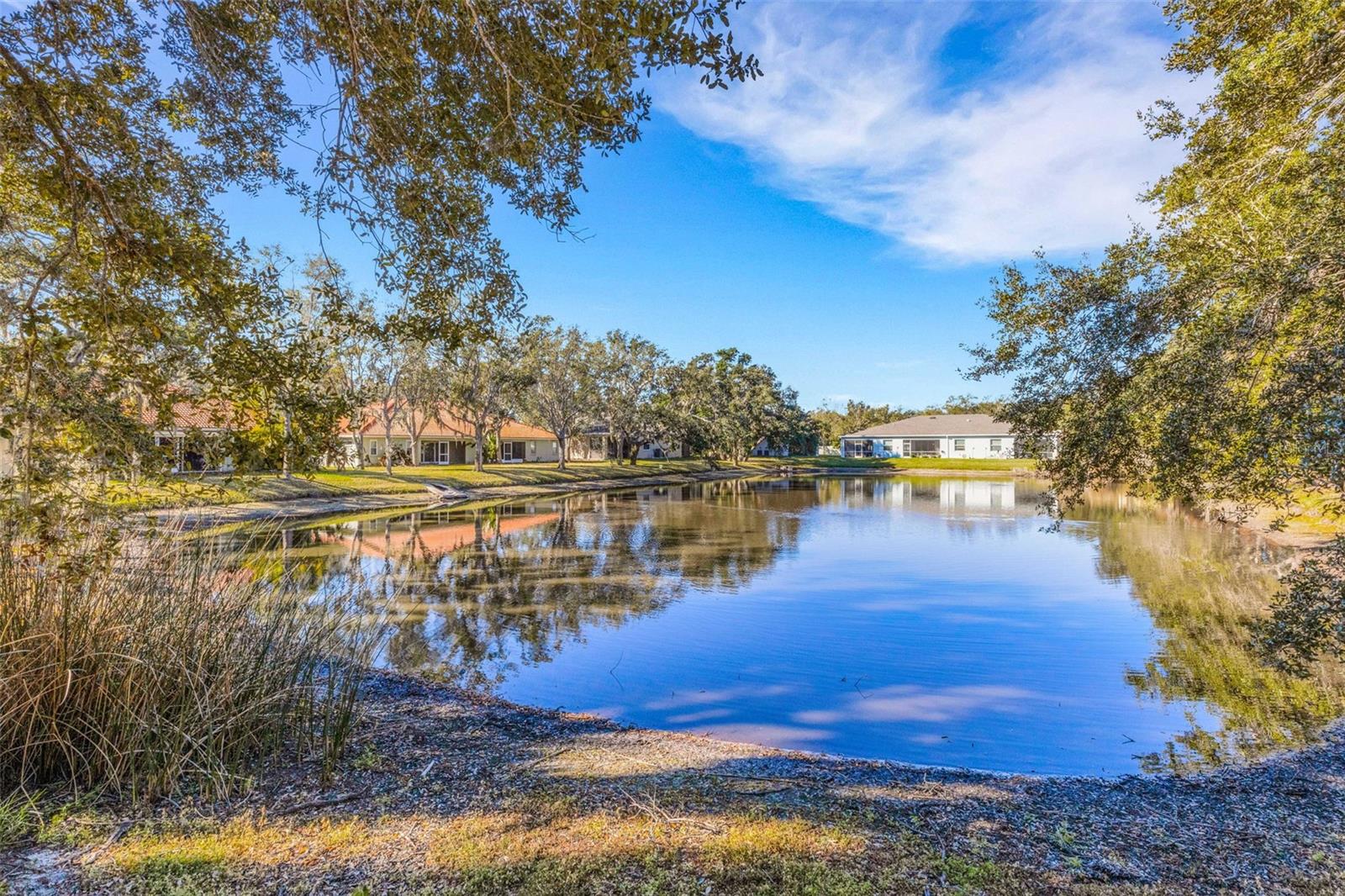 248 51ST STREET CIRCLE E