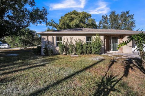 A home in PLANT CITY