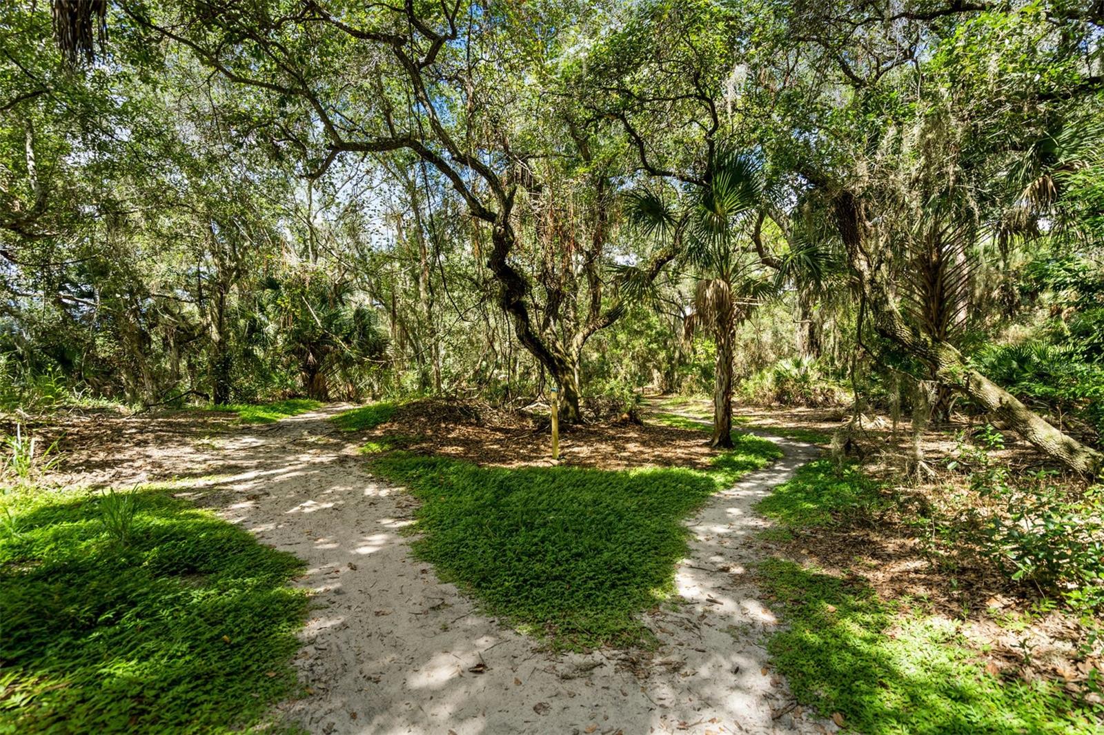 WOODPINE LAKE - Residential