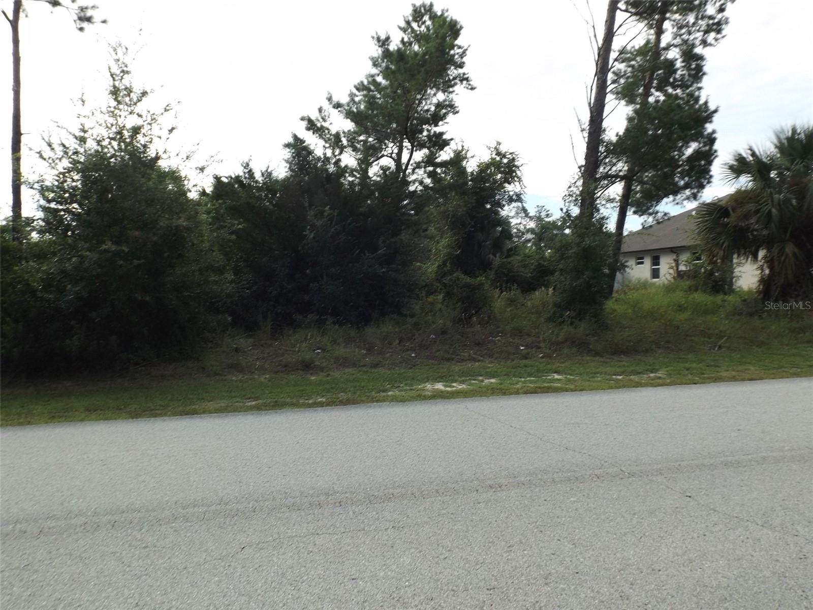 PALM HARBOR - Land