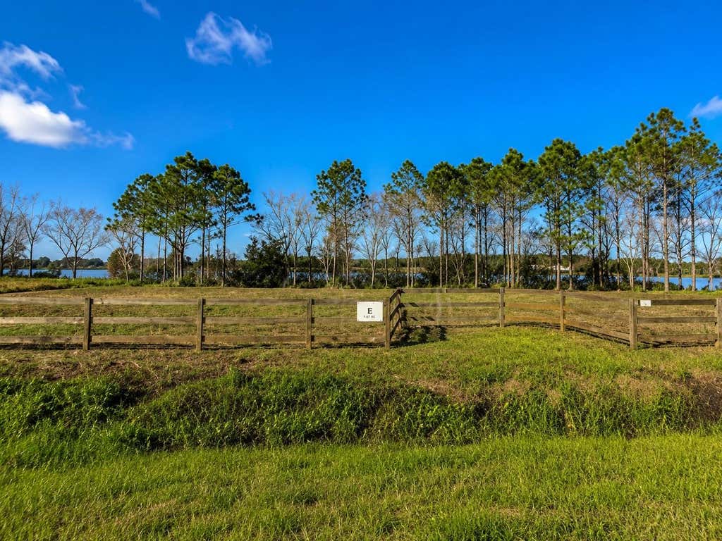 Photo of 1380 Old Brewster Road, Fort Meade, FL 33841 (MLS # L4964440)