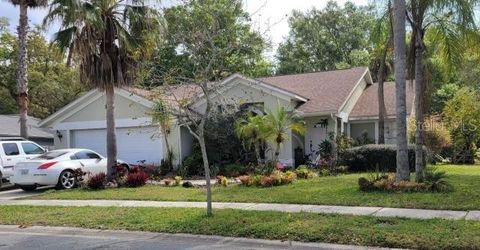 A home in LAND O LAKES