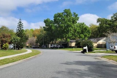 A home in LAND O LAKES