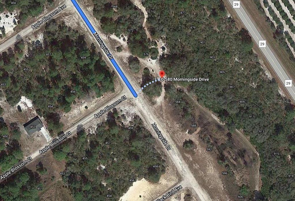 Photo of 580 Morningside Drive, Lake Placid, FL 33852 (MLS # OM624619)