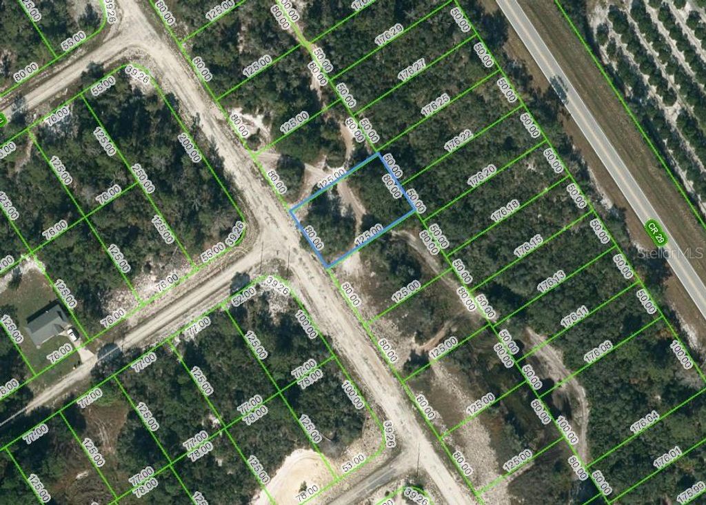 Photo of 580 Morningside Drive, Lake Placid, FL 33852 (MLS # OM624619)