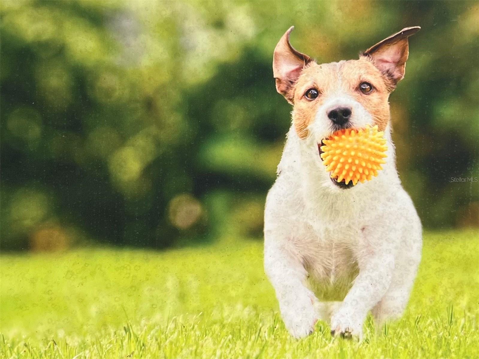 VERANDA BAY PHASE 2A - Land