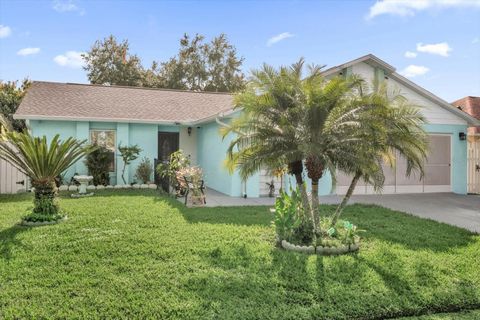 254 MAGELLAN DRIVE KISSIMMEE FL 34758