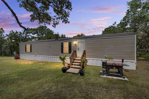 Photo of 9088 S Berkshire Avenue, Inverness, FL 34452 (MLS # TB8387037)